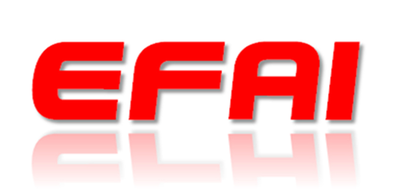 Logo-EFAISA-par-raspberry-y-web
